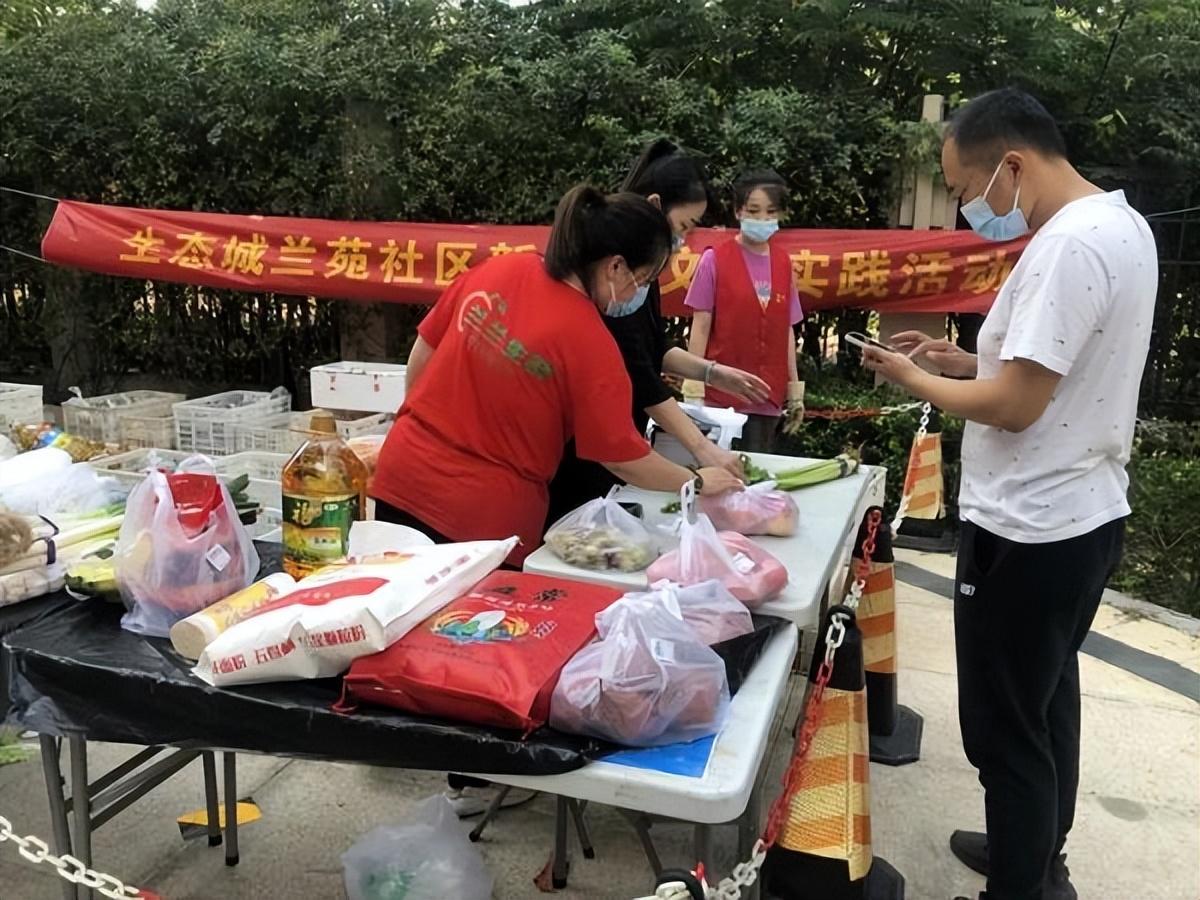 保利華潤紫云價格深度解析，探尋背后的故事與地位影響