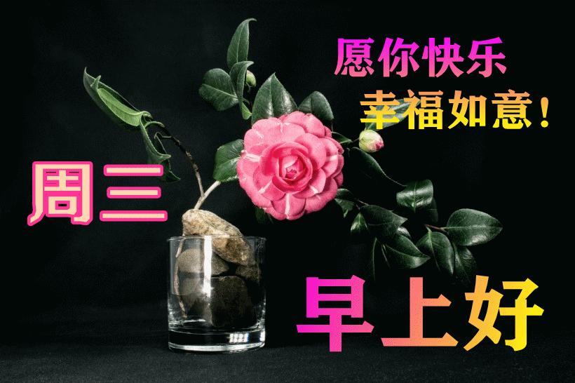 最新早晨問候動態(tài)表情包，溫馨問候，從表情開始！