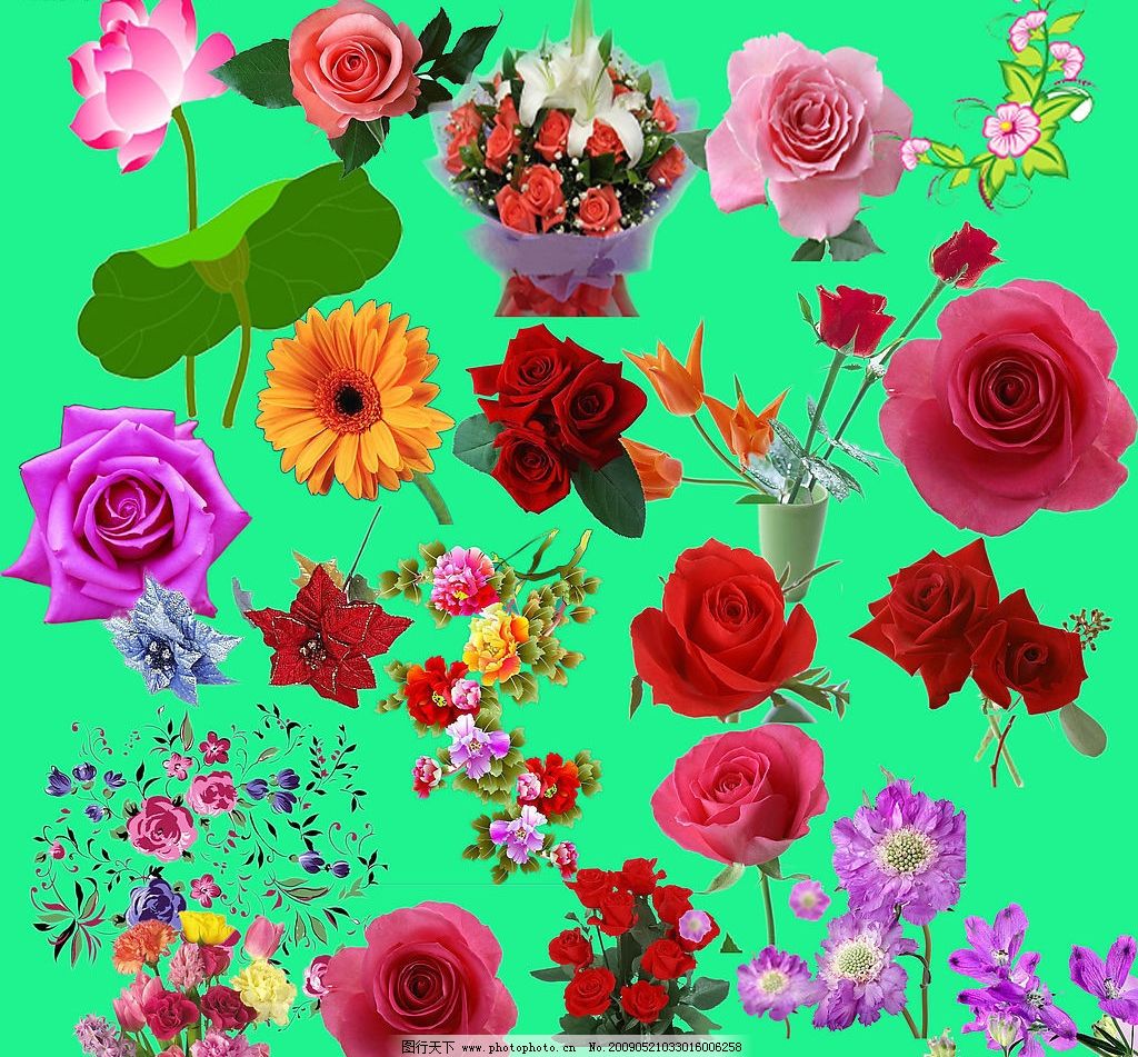 最新花款下載，愛與陪伴的溫馨之旅