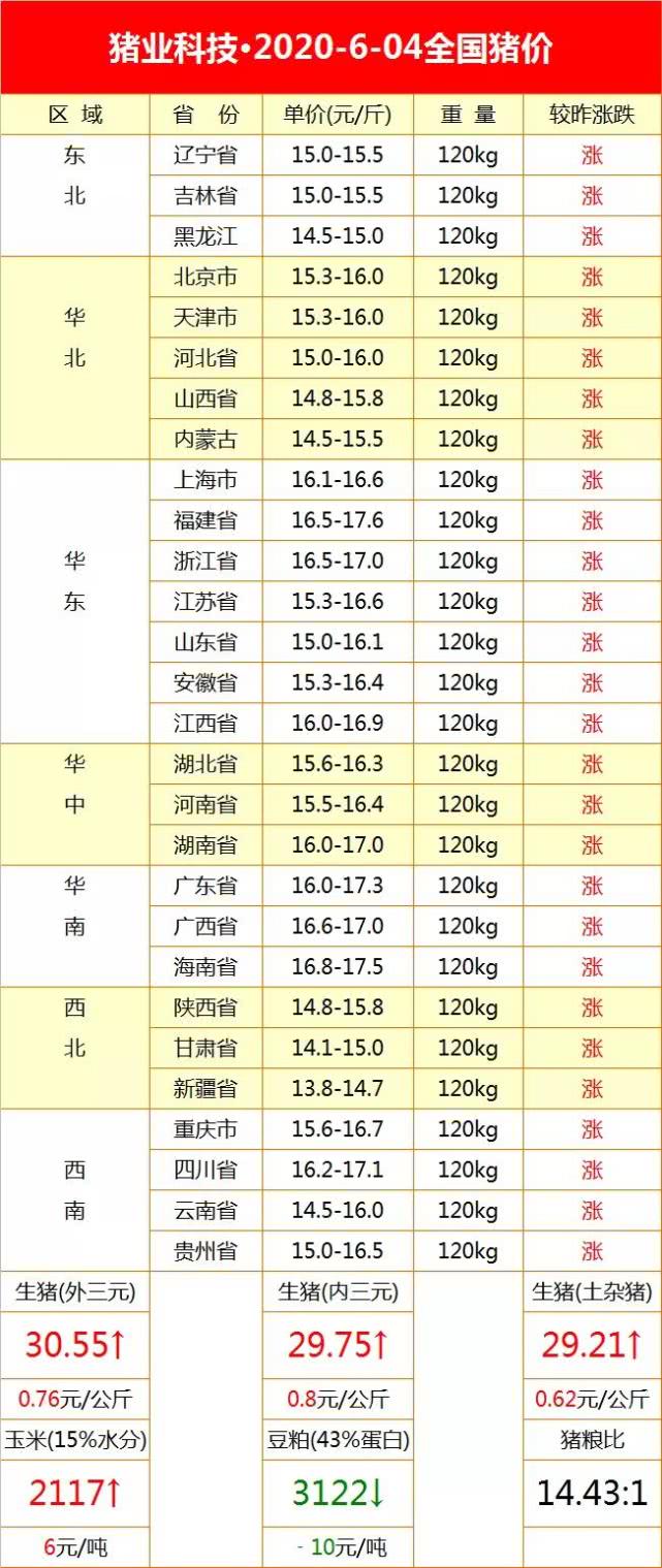 全國(guó)最新生豬價(jià)格今日豬價(jià)走勢(shì)，詳細(xì)步驟指南