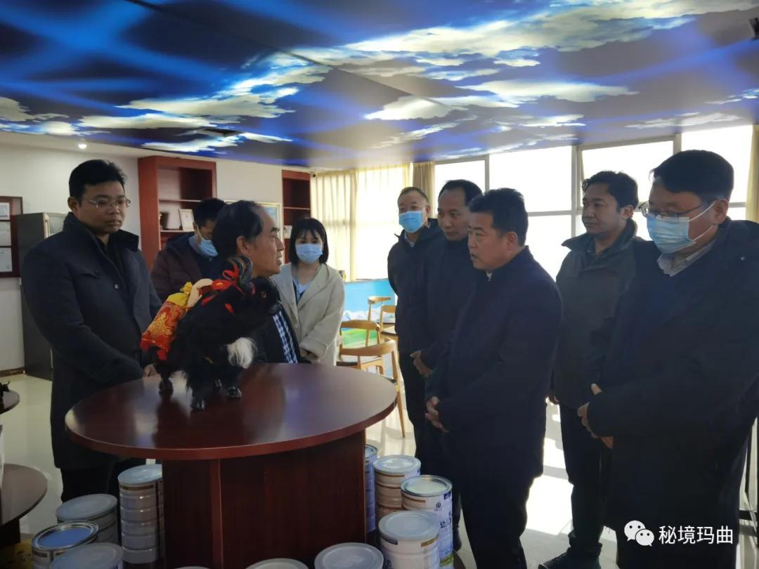 高原之寶上市，學(xué)習(xí)、蛻變與自信的輝煌之旅