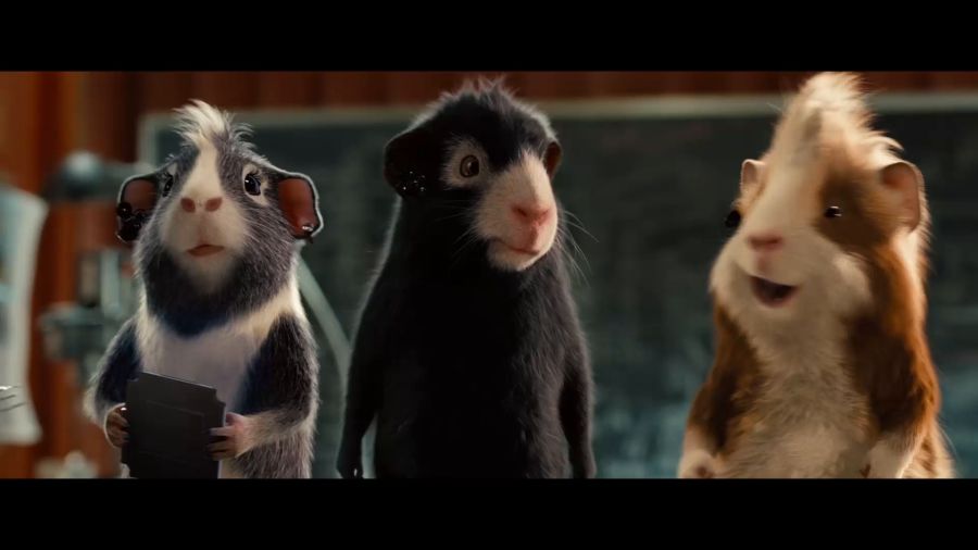 豚鼠電影,豚鼠電影，科技巨獻(xiàn)，重塑觀影體驗