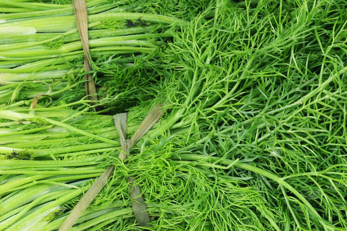 茴香價(jià)格動(dòng)態(tài)，香氣變化與你的關(guān)聯(lián)