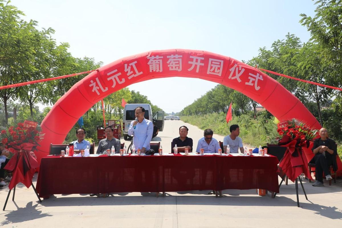 未來五年葡萄種植行情展望與趨勢(shì)分析