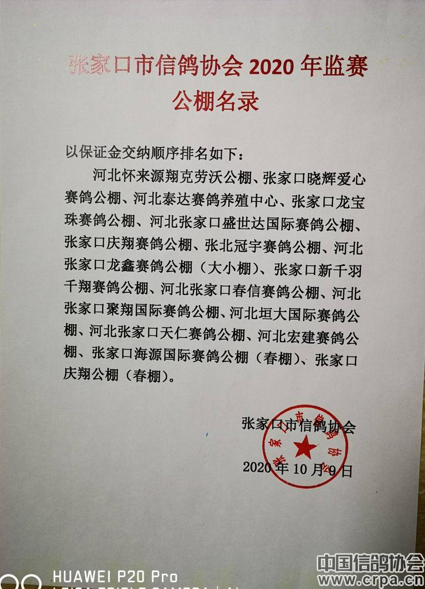 東光信鴿協(xié)會最新通告，小巷深處的獨(dú)特風(fēng)味揭秘與信鴿活動更新通知