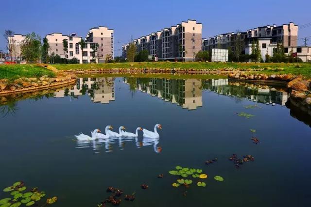 萍鄉(xiāng)安源湖，最新動(dòng)態(tài)揭示湖畔變革與自我超越之旅