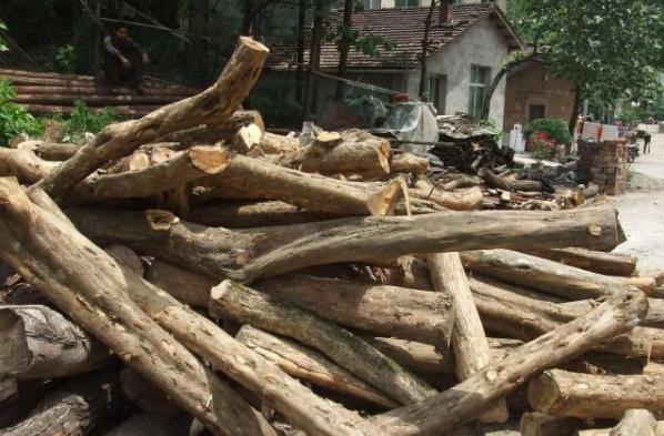 今天黃金價(jià)格動(dòng)態(tài)及小巷寶藏探索揭秘