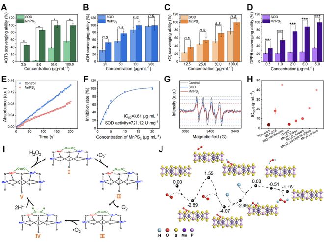 頭發(fā)再生研究新動(dòng)態(tài),頭發(fā)再生研究新動(dòng)態(tài)，小巷深處的秘密秀發(fā)實(shí)驗(yàn)室