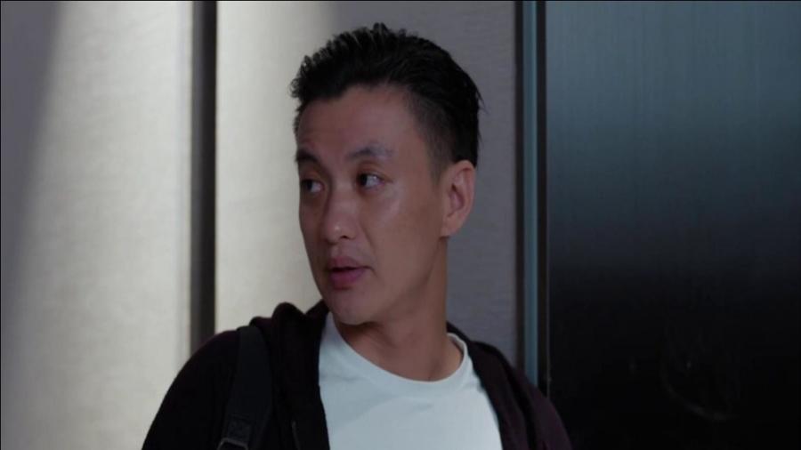 郭鑫年最新動(dòng)態(tài)揭秘，小巷特色小店探索之旅