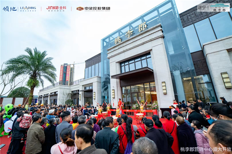 遂寧北濱郡府最新動態(tài)，小巷深處的獨特風味