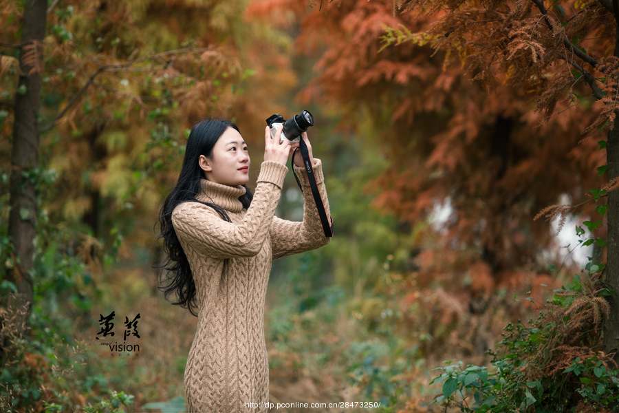 伊人在線電影，探索現(xiàn)代網(wǎng)絡(luò)影視的新境界