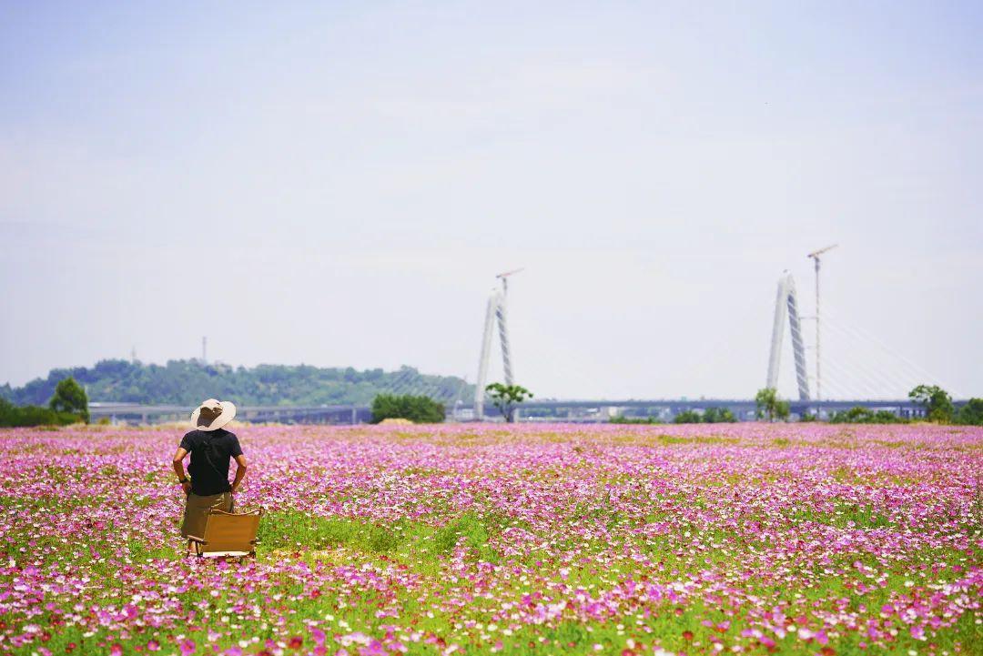 陳小北聚焦科技前沿，引領(lǐng)創(chuàng)新潮流新動(dòng)態(tài)