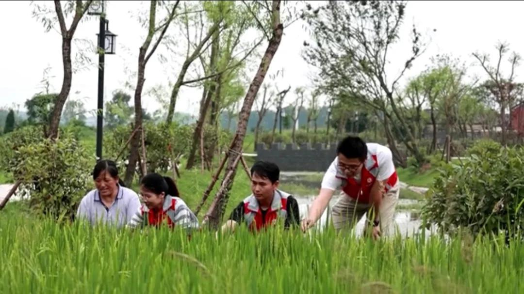 曲陽縣城最新招聘信息揭秘，小巷中的獨(dú)特小店等你來探索！