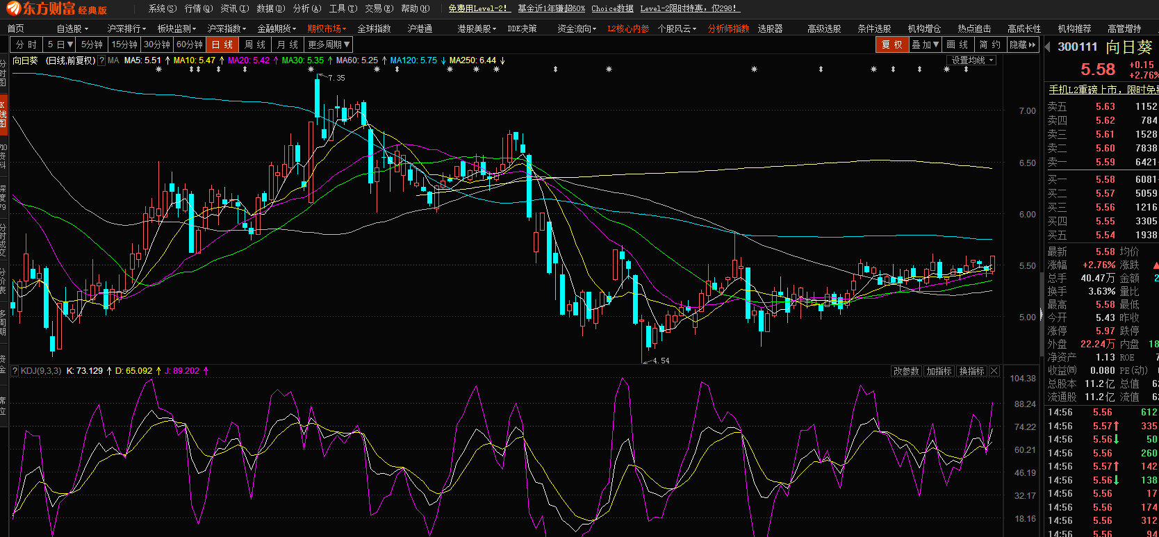股市小天地，友情大天地——我與股票300141的日常故事分享