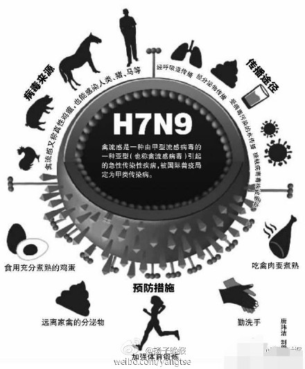 陜西H7N9疫情最新動態(tài)及其論述分析