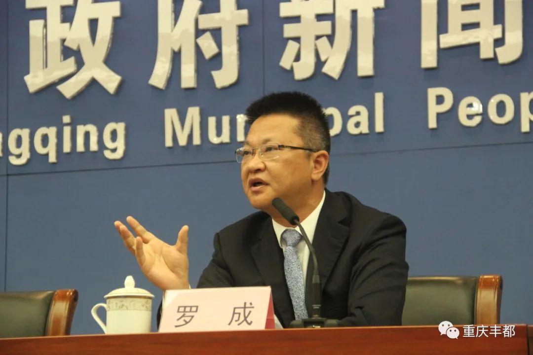 豐都新聞快訊，日常溫情與陪伴的瞬間