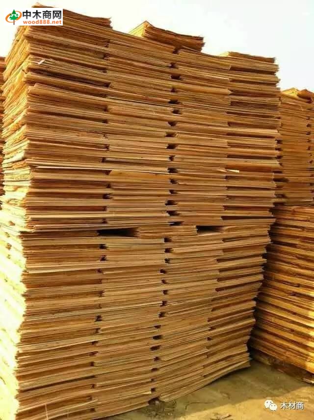 科技革新引領(lǐng)板皮廠行情，開啟板材加工新時代