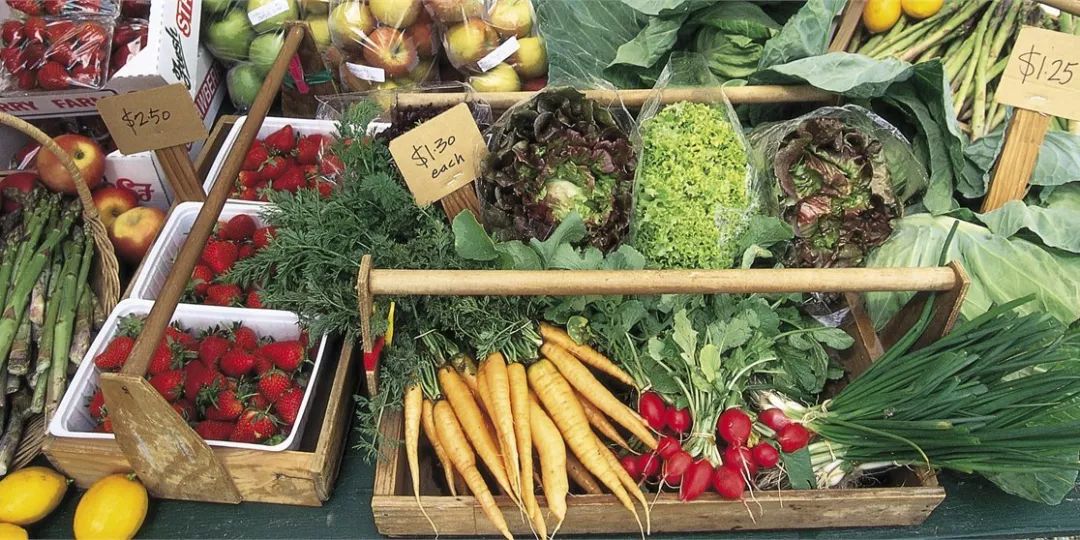 Z城新鮮資訊速遞，最新動態(tài)一網打盡！