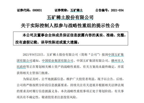 南方稀土股票，小巷中的隱秘寶藏，探索投資魅力的未知之旅