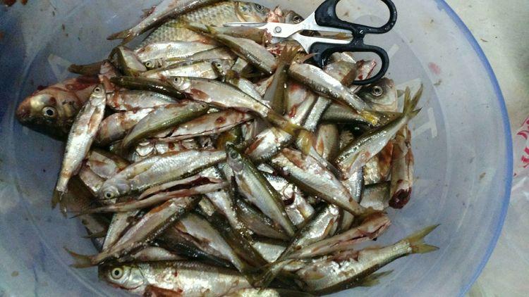 昆明最新野釣地點(diǎn)探索，重拾生活激情與自信的自然之旅