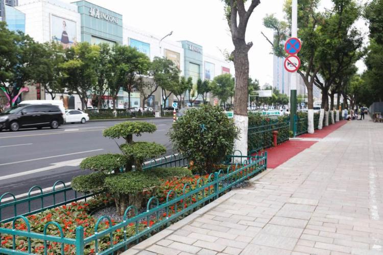 濰坊市奎文區(qū)改造工程，自然美景的探索之旅