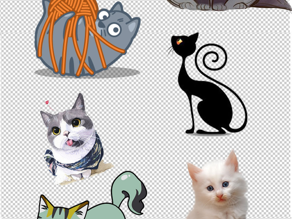 動(dòng)漫小貓圖片，制作指南與精選圖片欣賞