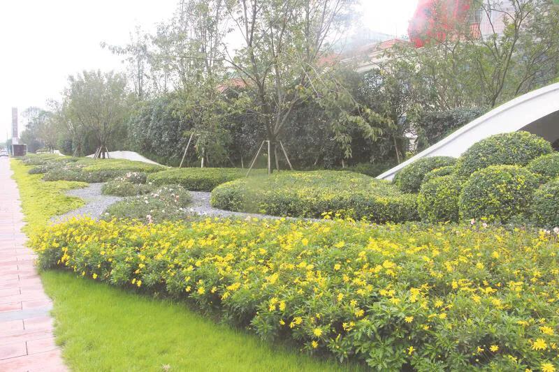 嬢王演員的自然之旅，邂逅美景，尋找內(nèi)心平和之道