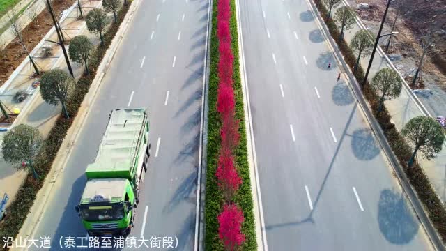 關花大道最新進展，矚目盛景呈現！