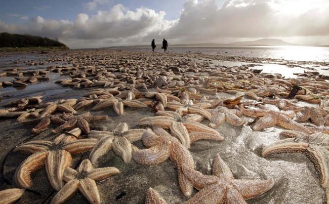 死亡擱淺電影，小巷深處的獨(dú)特觀影之旅