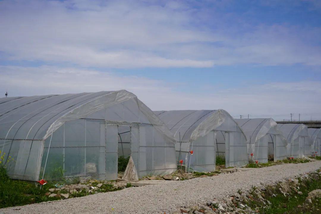 宅基地上市交易開啟土地交易新篇章