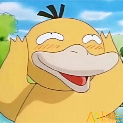 可達鴨資訊更新觀點深度解析