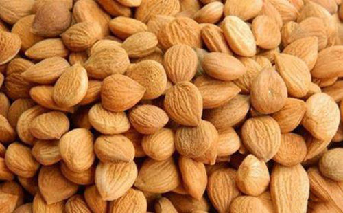 苦杏仁行情深度解析，背景、事件與地位探究