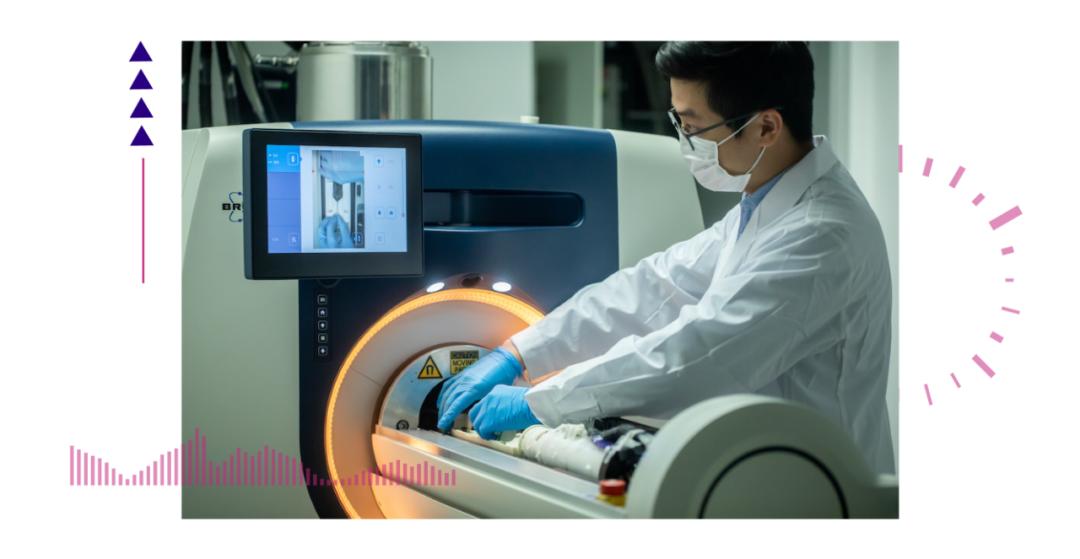 香港脊髓研究取得新進(jìn)展，探索自然美景的心靈之旅新篇章