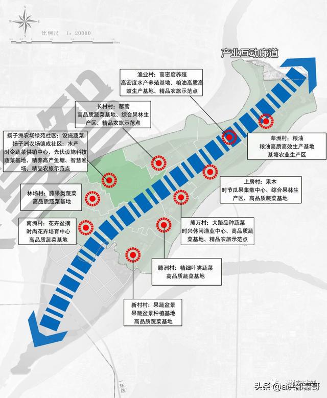 南昌揚(yáng)子洲未來藍(lán)圖揭曉，最新規(guī)劃描繪未來發(fā)展路徑