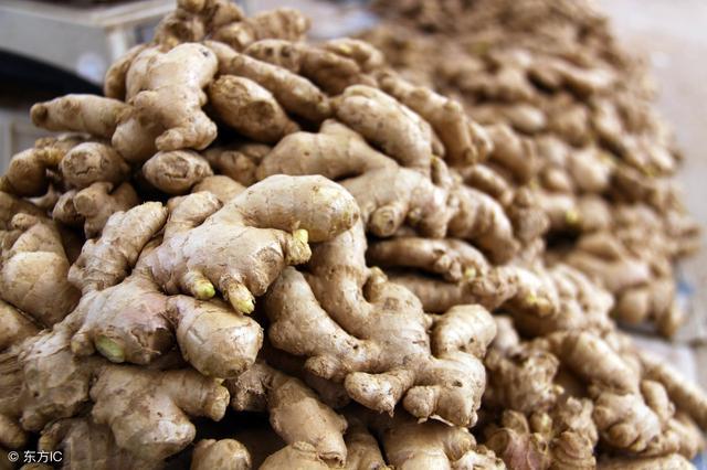 生姜最新價格及行情解析，全方位指南