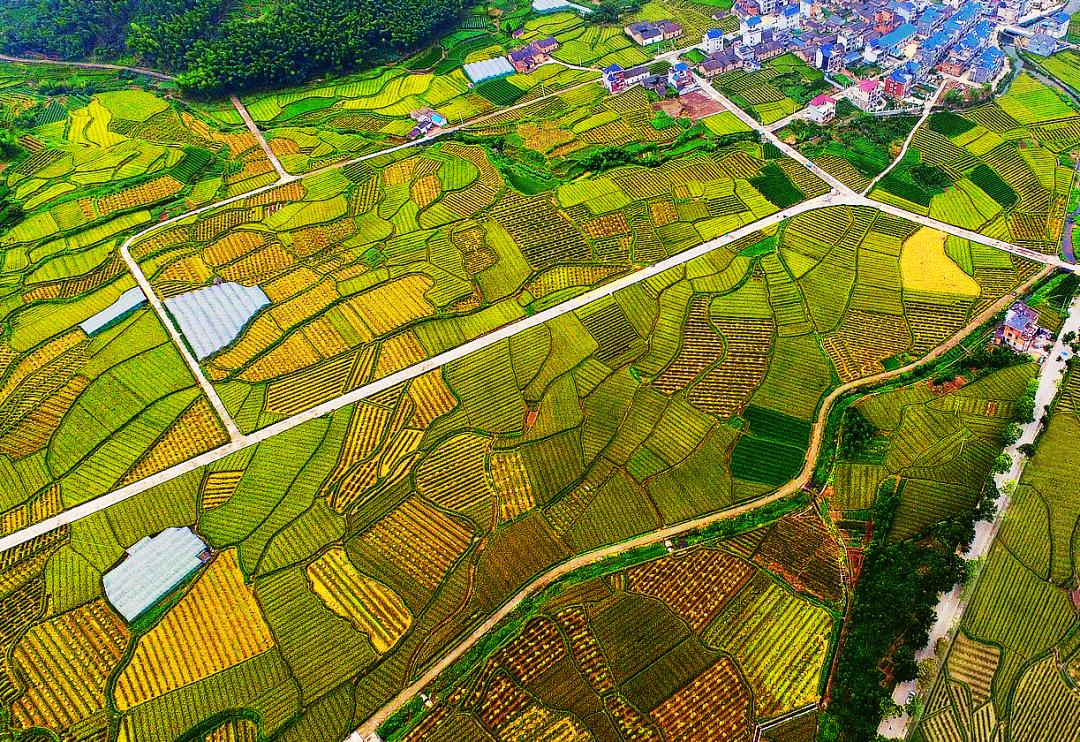 金竹最新規(guī)劃發(fā)布，開啟學(xué)習(xí)新篇章，培養(yǎng)自信與成就感的源泉