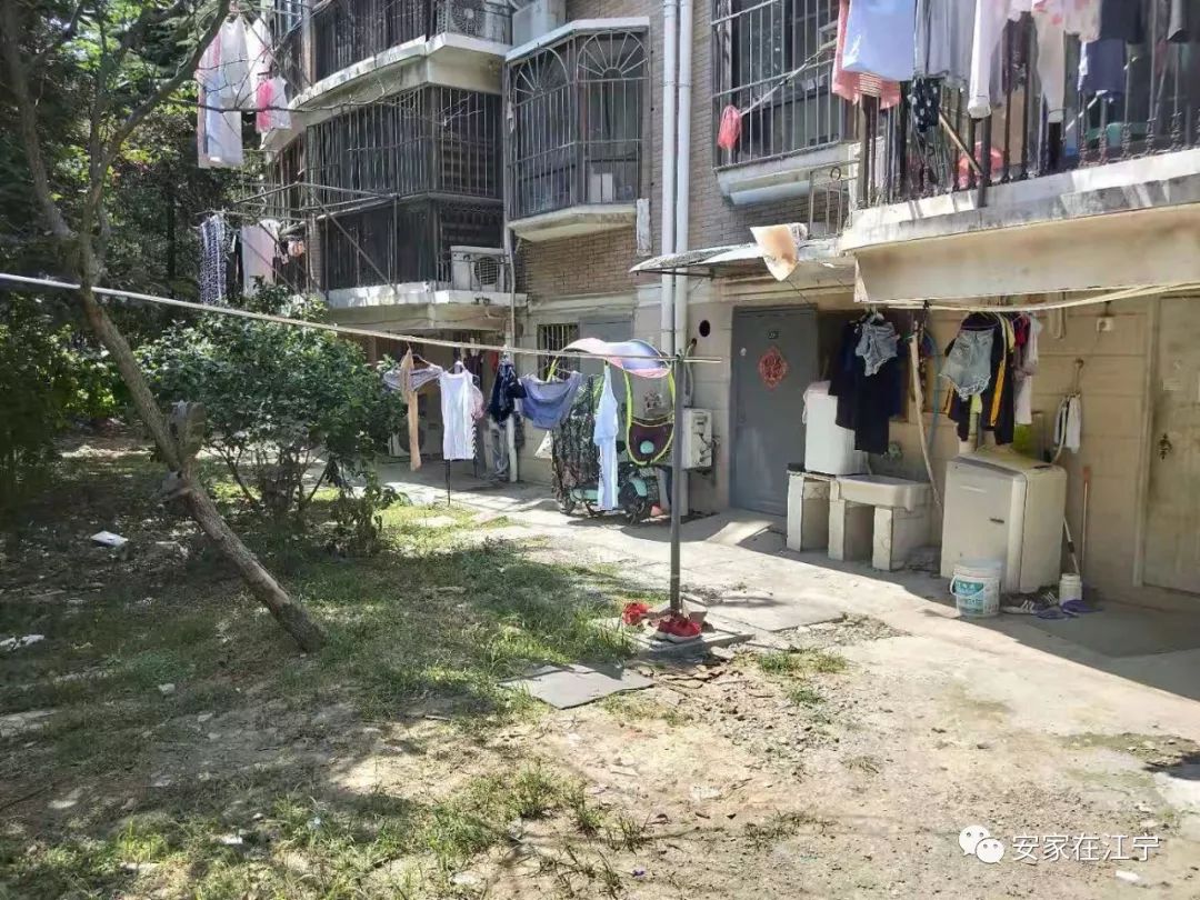 最新大雜亂時(shí)代，混沌與秩序的重建之路