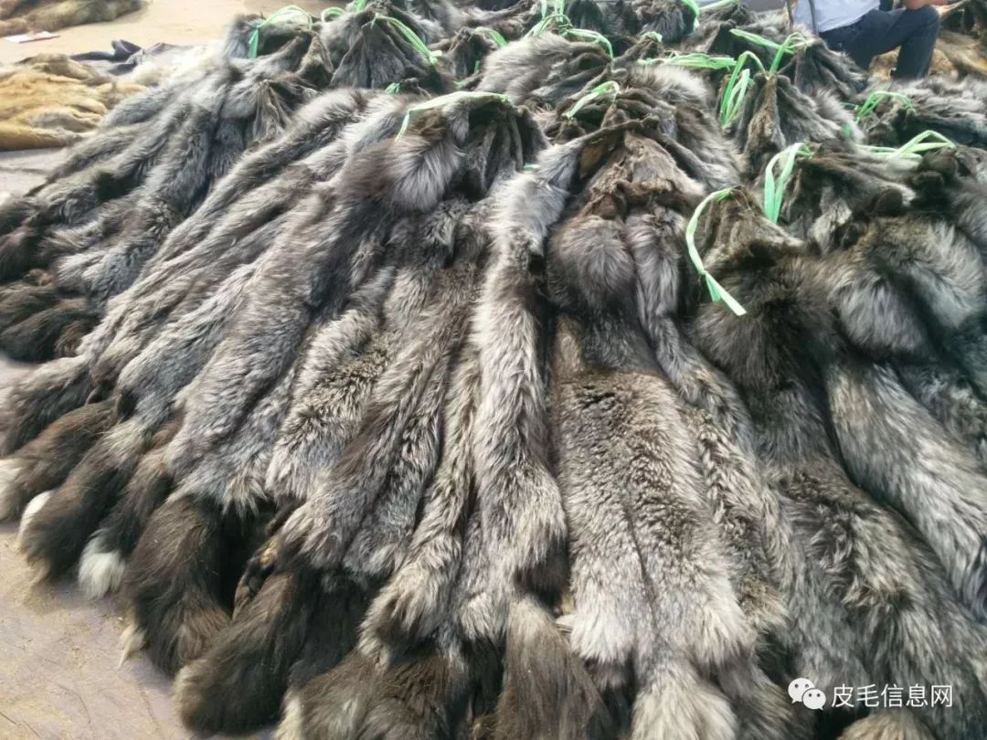 貉皮尚村最新價(jià)格，小巷中的時(shí)尚皮草寶藏探索