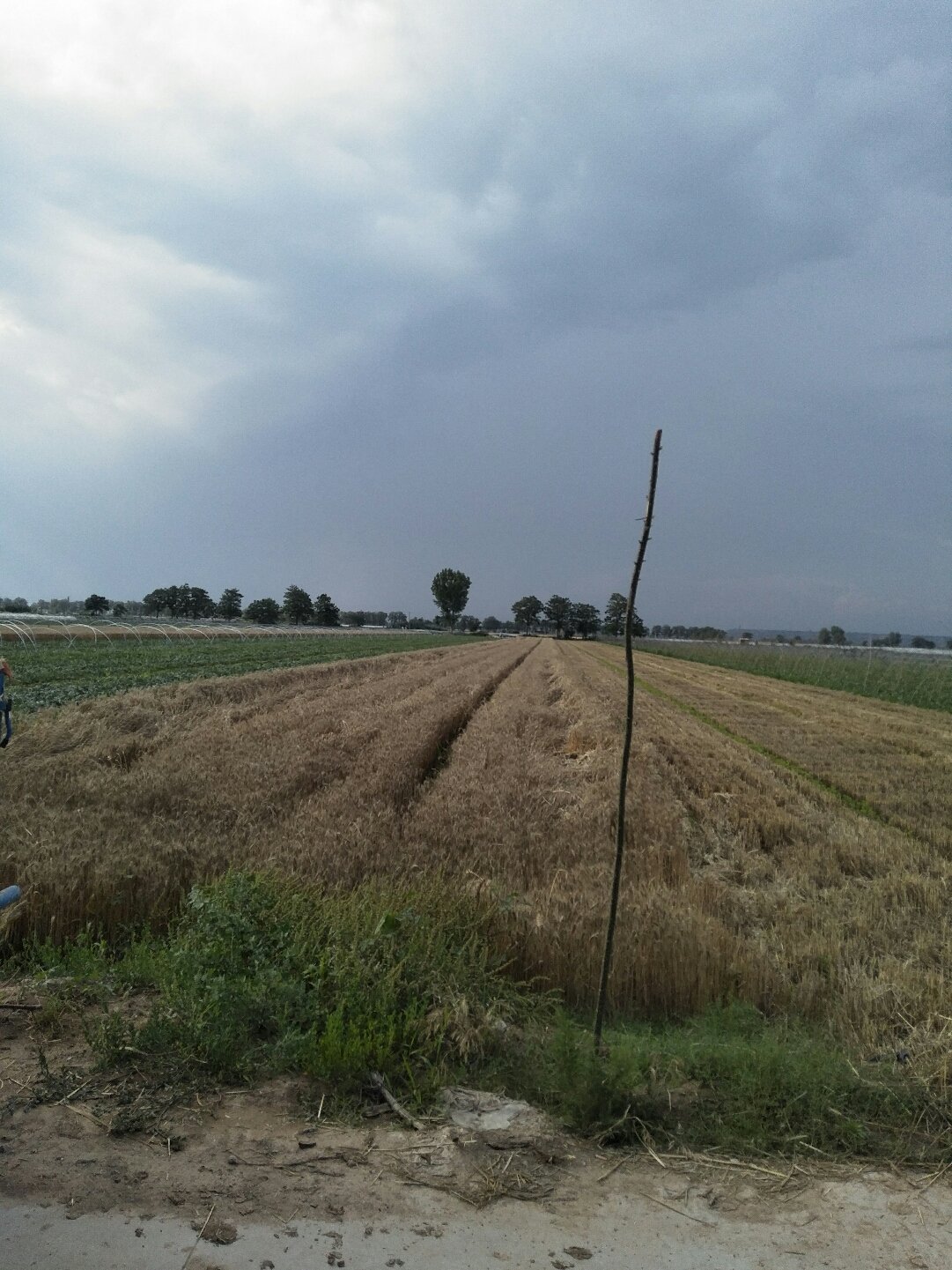 蒲城天氣預(yù)報(bào)，暖陽(yáng)下的友情時(shí)光