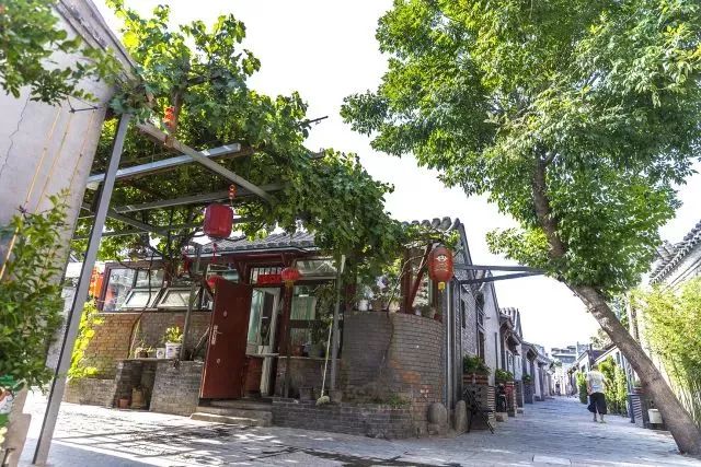 草社區(qū)美食探險(xiǎn)之旅，探尋小巷中的隱藏寶藏與最新地址揭秘