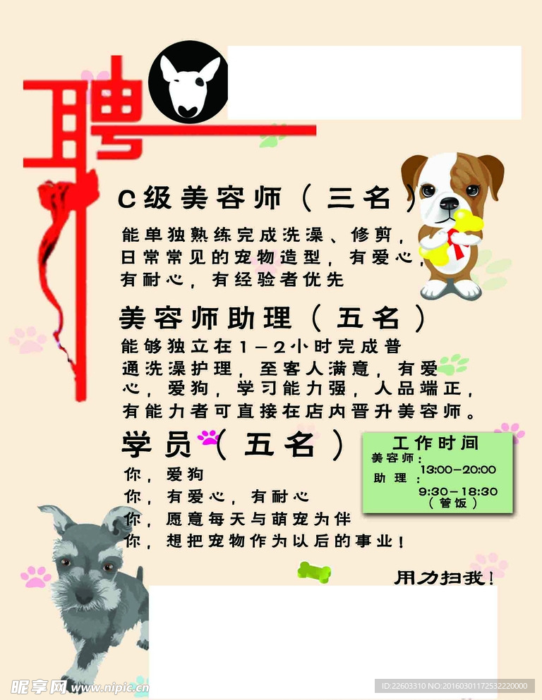 寵物店招聘最新動態(tài)，共探自然之美，尋求內(nèi)心寧靜