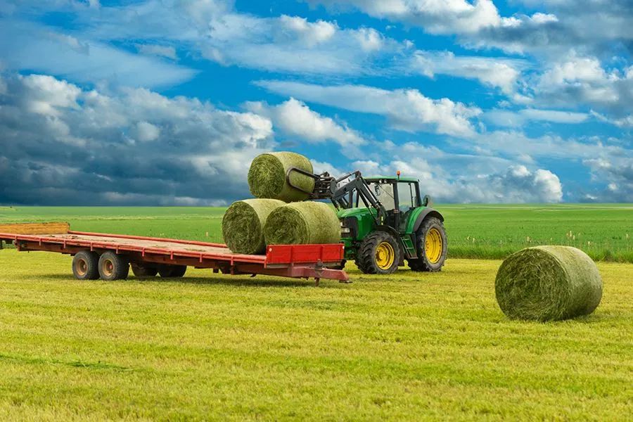 農(nóng)業(yè)最新動(dòng)態(tài)，時(shí)代的脈搏與綠色希望共舞