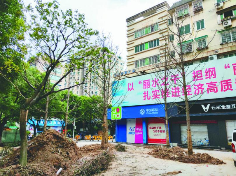 最新吊車網(wǎng)，自然美景之旅與內(nèi)心平靜的探尋