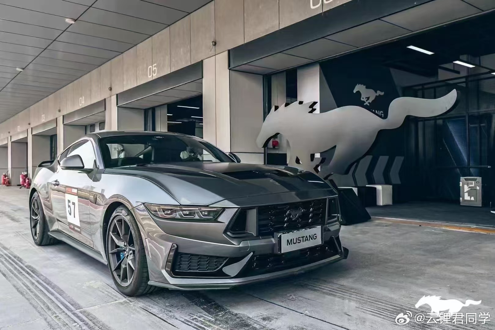 野馬擼最新動態(tài)，駕馭變化，自信成就夢想之旅