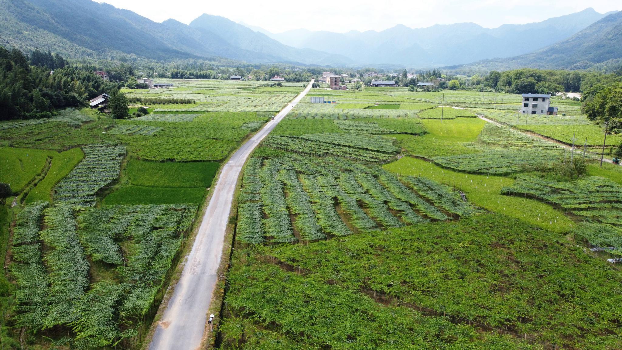 新文村，時代變遷下的文化繁榮與發(fā)展新篇章