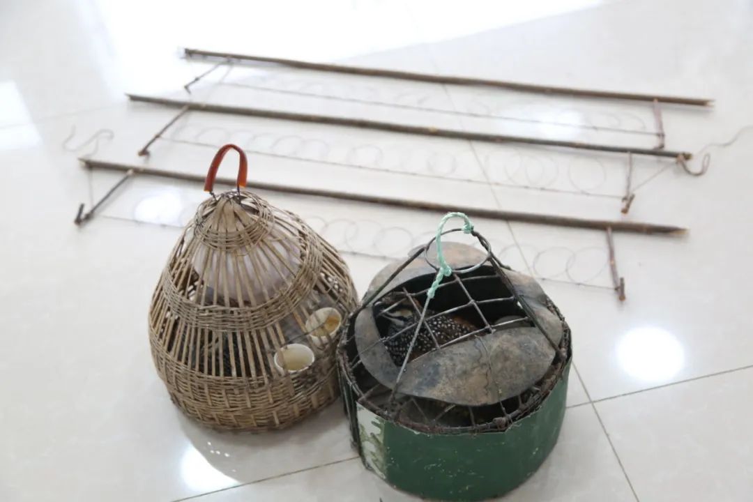 小巷中的神秘寶藏揭秘，最新捕鳥工具揭秘