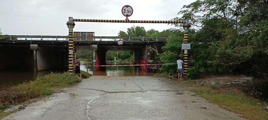 惠陽(yáng)臺(tái)風(fēng)最新消息，小巷深處的風(fēng)味秘境