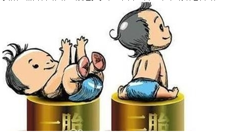 最新雙胞胎補(bǔ)助政策，攜手同行，助力孕育夢(mèng)想之路