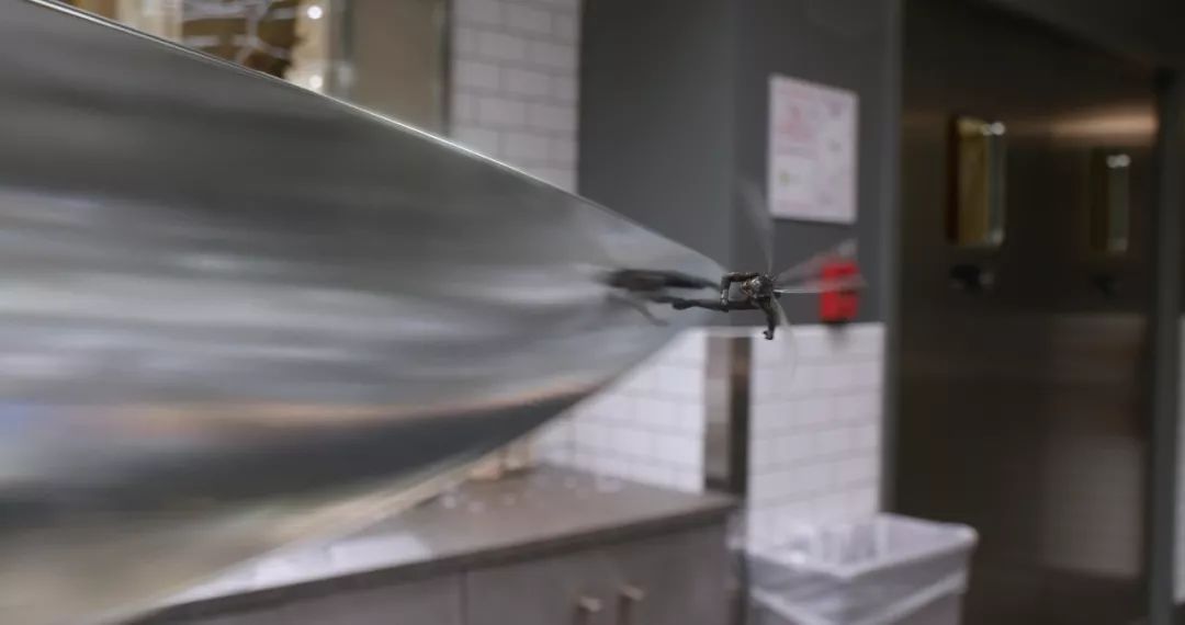 最新電泳技術(shù)，一路向前，學(xué)習(xí)成就自信之源