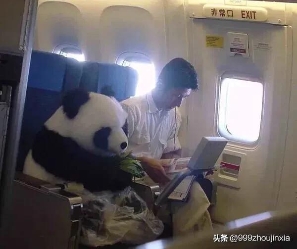 追逐變化之翼，學(xué)習(xí)鑄就自信與成就——虛幻最新探討